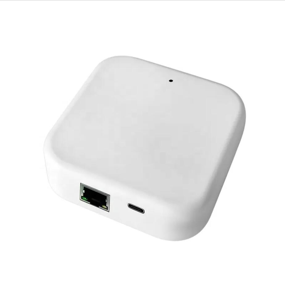 TTLOCK G2 G3 Gateway Wi-Fi per - Smart Door Lock Wifi recensione e prezzo