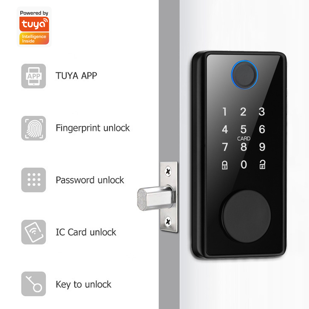 Serratura per Porta con Contro - Smart Door Lock Wifi recensione e prezzo