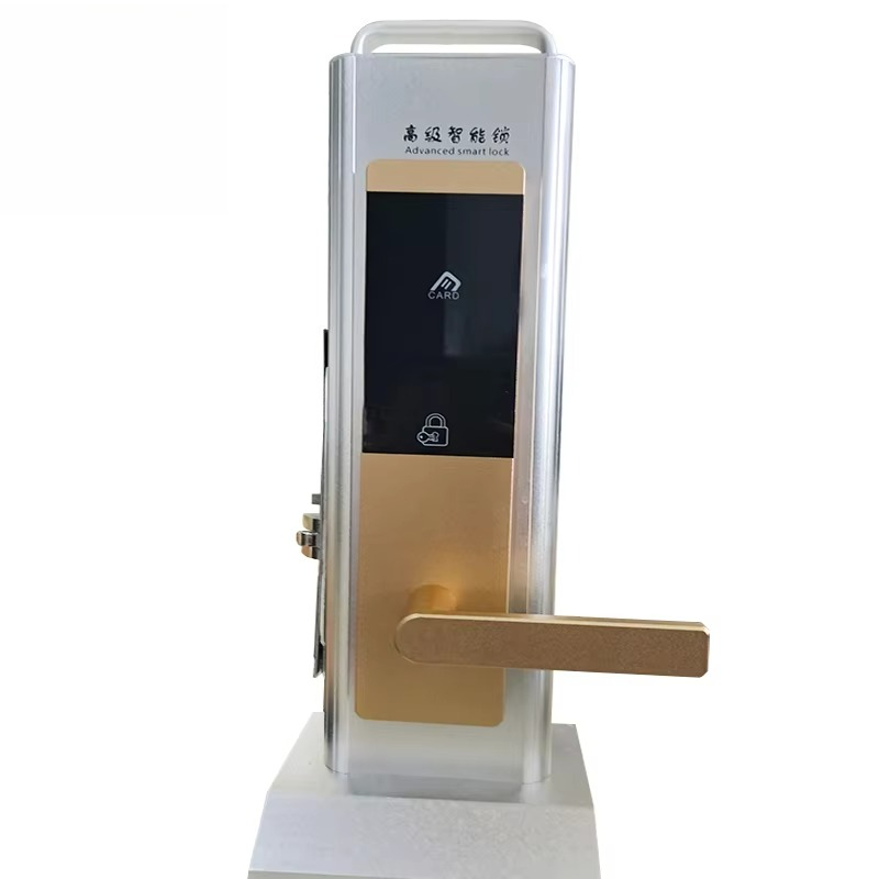 Serratura Elettronica Intellig - Smart Door Lock Wifi recensione e prezzo